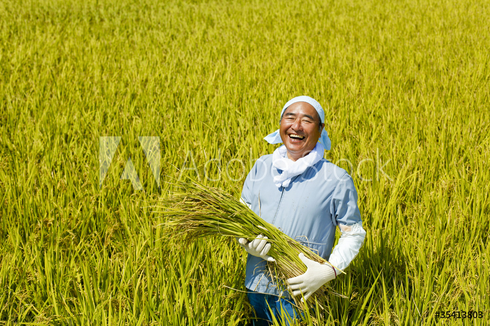 日本全国の農家の皆さんが手間ひまかけて育てた安心・安全に配慮した選りすぐりのお米をお届けしています。